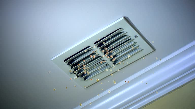 Best Air Duct Cleaning Company Near Me  in Petersburg, IN