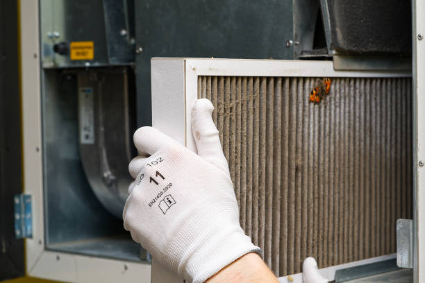 Best Local Air Duct Cleaning Services  in Petersburg, IN
